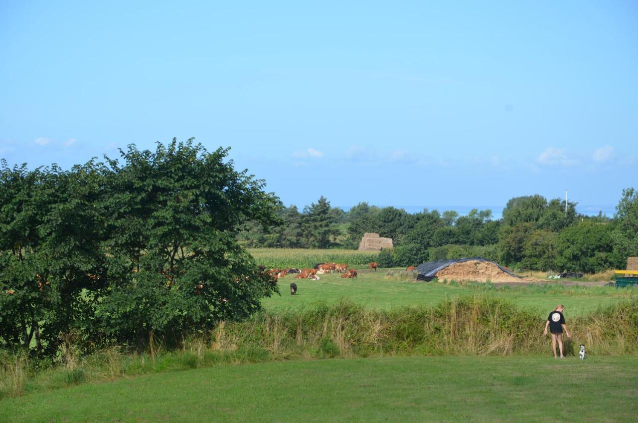 Camping&Feriecenter Samsø Kolby Eksteriør bilde